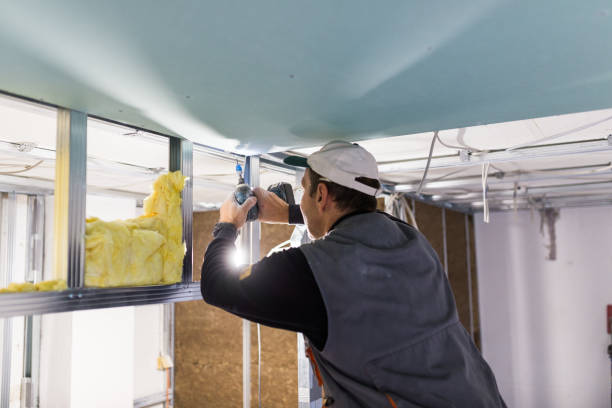 Best Insulation Repair Services  in Mililani Town, HI
