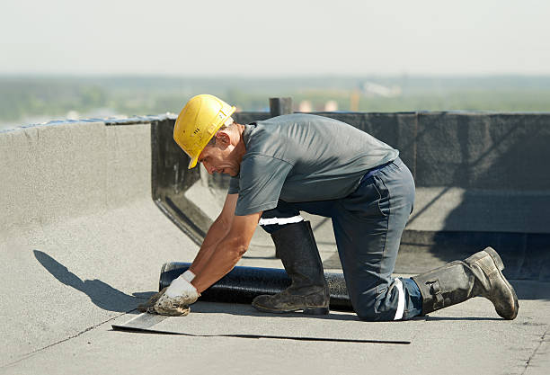 Best Crawl Space Insulation  in Mililani Town, HI